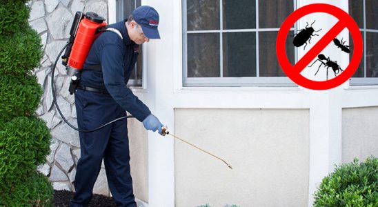 Çubuk Fare İlaçlama böcek ilaçlama ve haşere kontrolü — ilaclama-tr.com